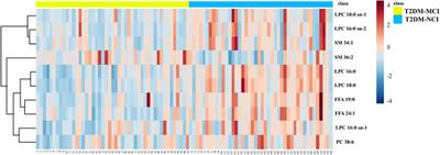 Risk factors and metabolomics of mild cognitive impairment in type 2 diabetes mellitus